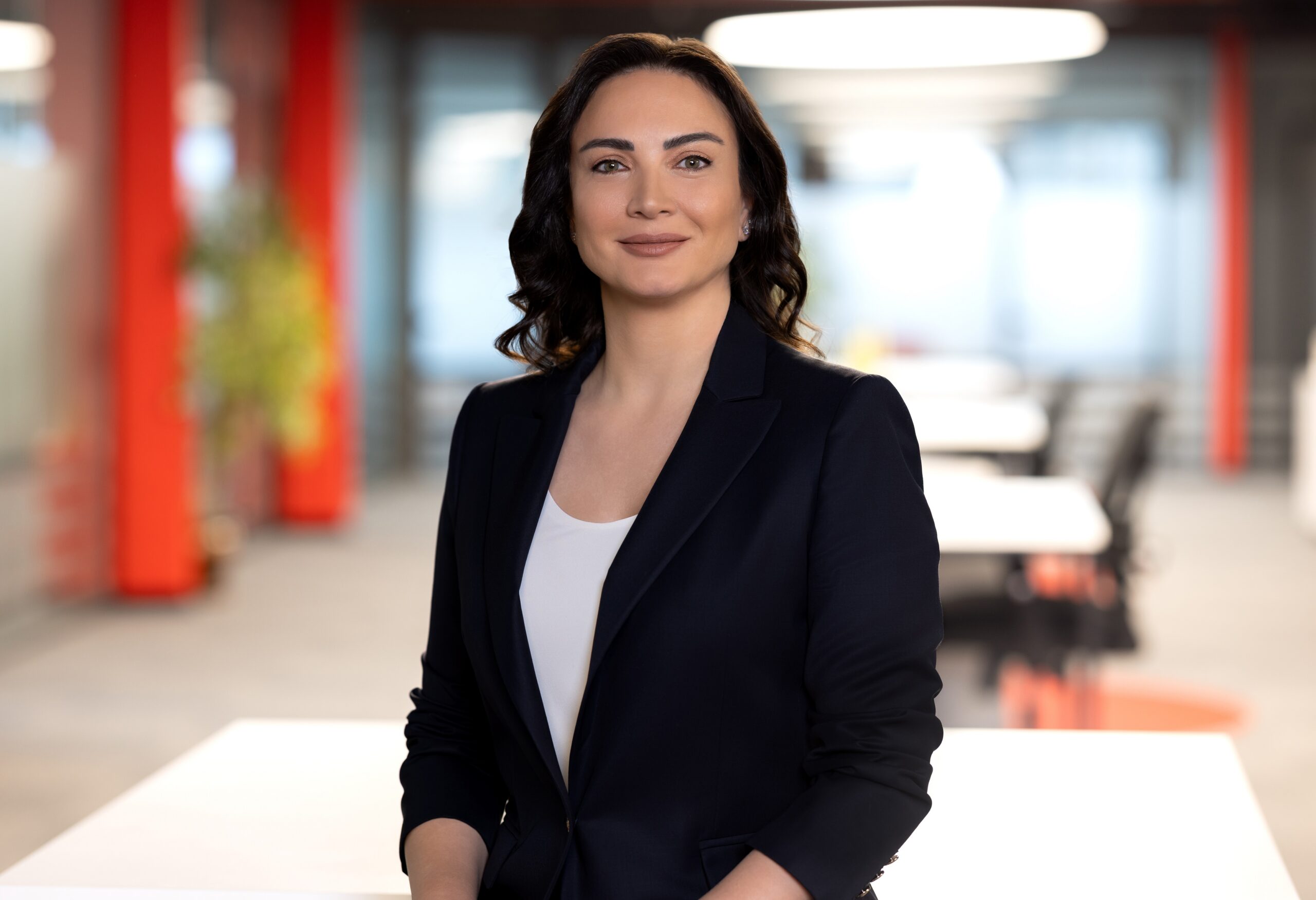 Logo Yazılım ve Visa iş birliğiyle Türkiye’de bir ilk